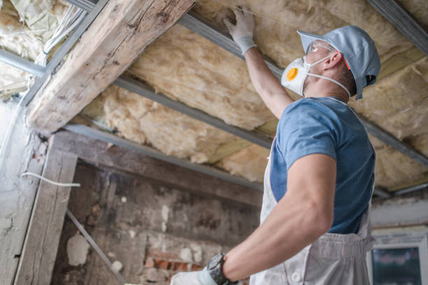 Best Eco-Friendly Insulation in Bruceville Eddy, TX
