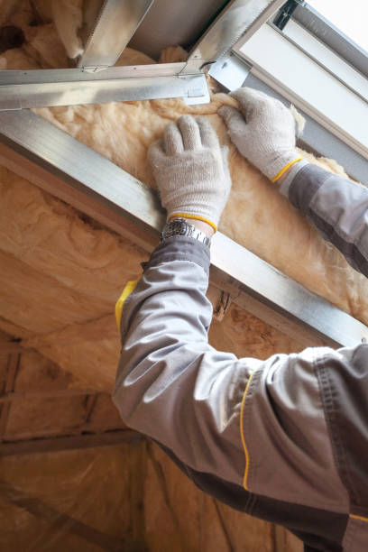 Best Geographic-Specific Insulation Services in Bruceville Eddy, TX