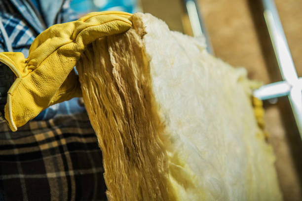 Best Cellulose Insulation in Bruceville Eddy, TX